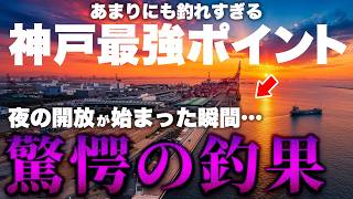 【神戸最強の釣り場】夜の開放、そこには異次元の釣果が待ち受けていました。。