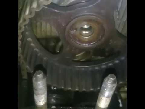 Воспроизведение