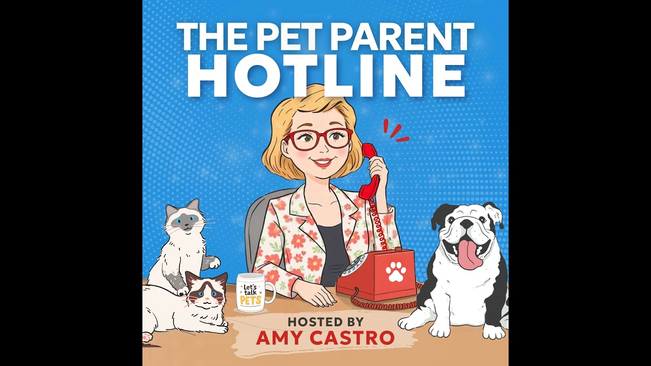 Still Feeling Guilty After Losing a Pet? Here’s Why Still Feeling Guilty After Losing a Pet? Here’s Why