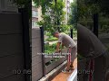 Skip Cement Walls—Try WPC Fence#woodfence#BackyardGoals#outdoorliving#wpc#wholesaler