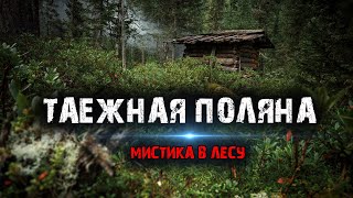 Мистика в лесу - Таежная поляна - Мистические истории из жизни.