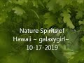Nature Spirits of Hawaii via Galaxygirl 10/17/19 | Young Lightworkers Channel