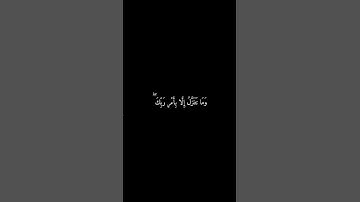 ﴿لَّا يَسْمَعُونَ فِيهَا لَغْوًا إِلَّا سَلَامًا ۖ﴾تلاوة مريحة بصوت القارئ عبد الرحمن مسعد 🌿💗
