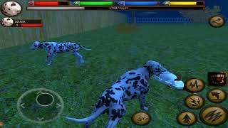 🐶Dalmatian VS Cat, Dog Catcher, Labrador, Dalmatian, German Shepherd,  Great Dane, Rottweiler Part 3