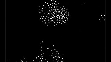 Flocking Simulation in python /w pygame
