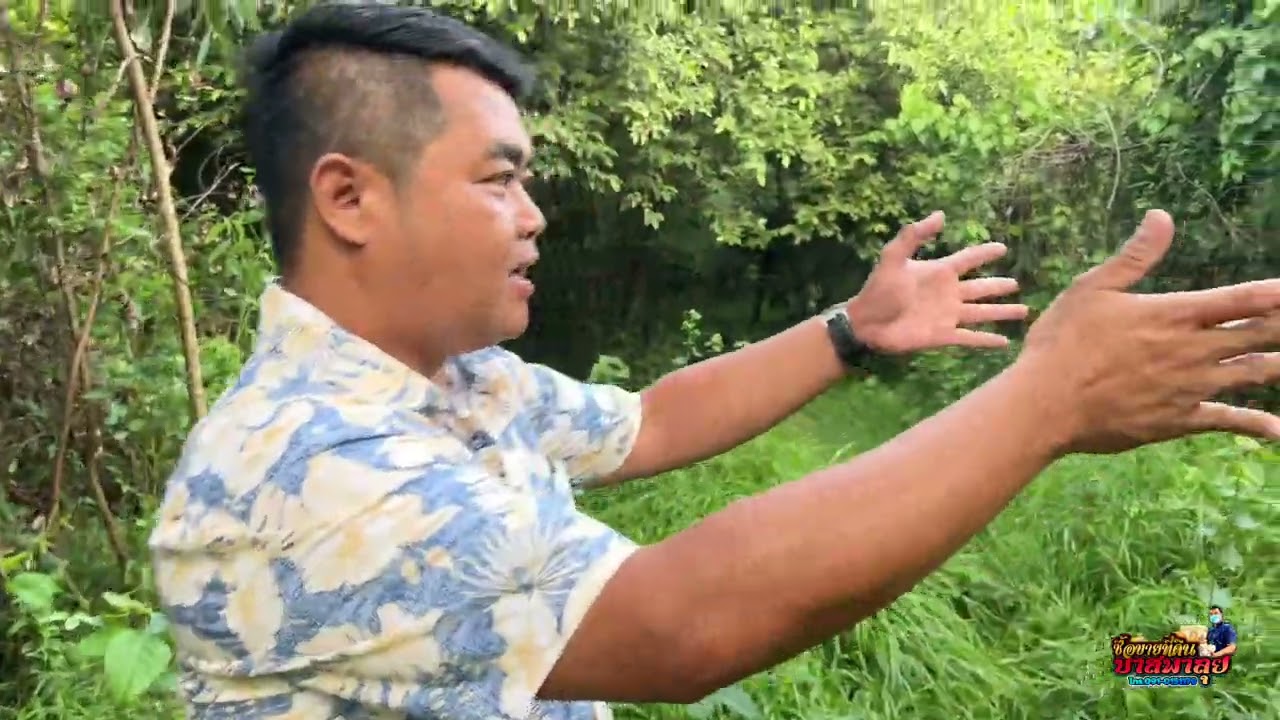 ขายที่ดิน 29 ไร่ ครุฑเขียว ขายไร่ละ 50,000 บาท ที่ดินแปลงนี้เหมาะปลูกทุเรียน ปลูกต้นปาล์ม ทำท่าทราย