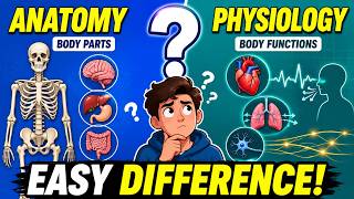 Anatomy vs Physiology Explained: Structure vs Function Made Easy 🧠