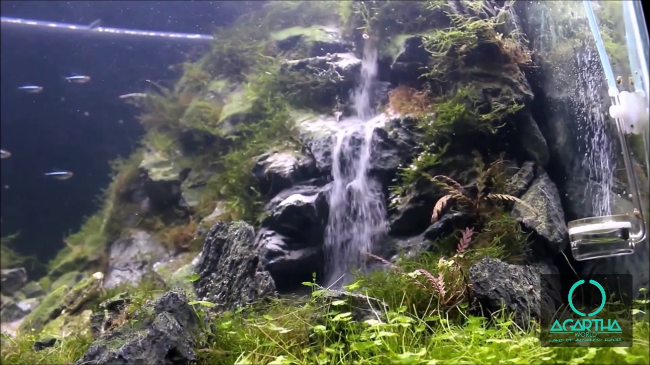 Agartha World Underwater Waterfall Aquarium 2 YouTube