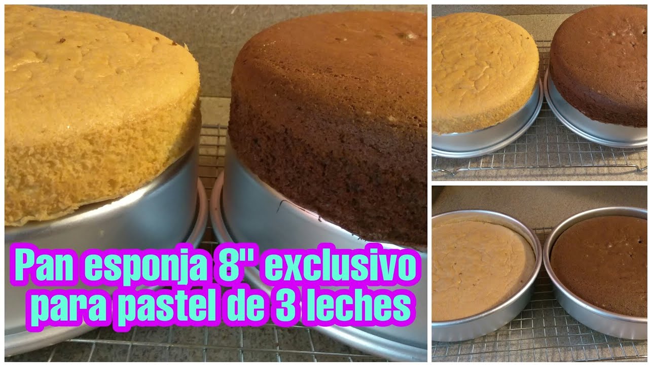 Pan Esponja 8 Vainilla Y Chocolate Especial Para Pasteles De 3 Leches Youtube Pan De Chocolate Pan De Vainilla Pan Para Pastel
