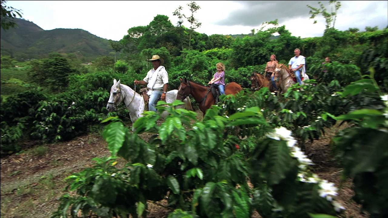 Viaja Por Colombia Vívela Con Alegría.