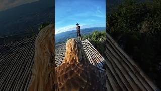 A View Only an Eagle Gets to See 🦅✨ | GoPro on Eagles back #goldeneagle #mountain #gopro #eagle #nat