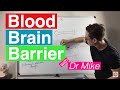 Blood Brain Barrier