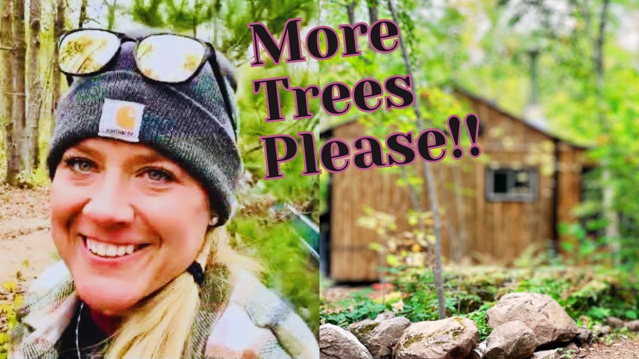 Off Grid Cabin Homestead Planting Trees YouTube