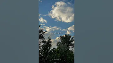 فاضي شوية بدون موسيقى اغاني فاضي شويه 