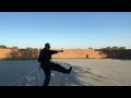 Golden lion Kempo