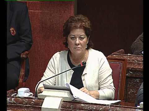 Rosique Rodríguez, Mª Teresa (G.P.Socialista) - Turno General de Intervenciones. camera iphone 8 plus apk