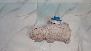 Satisfactory washing of the doll#asmr