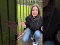 Parco degli scoiattoli a  Londra - Me contro Te Tik Tok