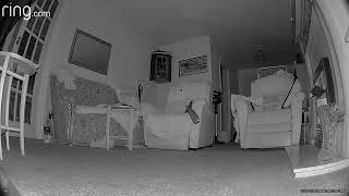 Is that an apparition at 18:44:26? The dog definitely sees something and a noise scares it off.