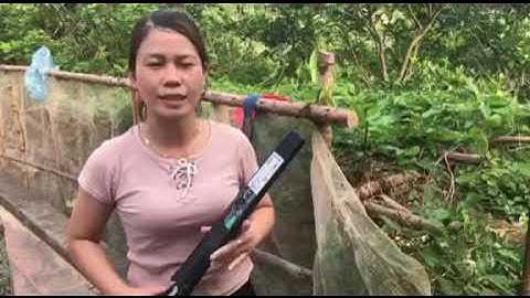 Cưa top đài loan hàng cao cấp (hàng chính hãng số 1) phục vụ các bác làm cây lh 0984424256