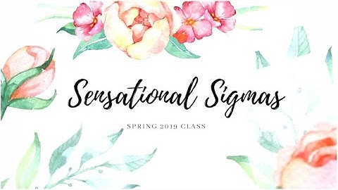 TAMU Lambda Delta Psi | Sensational Sigma Class Video