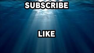 Panas,1Malaya ! Rita Rudaini Dan Aqasha Kini Menyulam Cinta..??