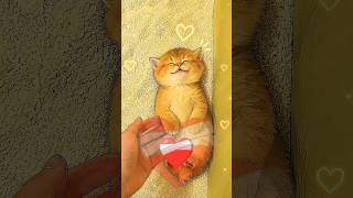 This Kitten Turned Litter Box Training Into a Nap Time Mission 😺