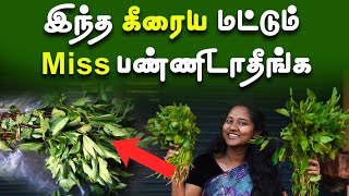 கீரையை பார்த்தே கண்டுபிடிக்கலாம் | Health Benefits of Spinach | Food Video screenshot 4