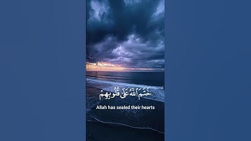 الشيخ ماهر المعيقلي (سورة البقرة) #قرآن #المصحف #اكسبلور