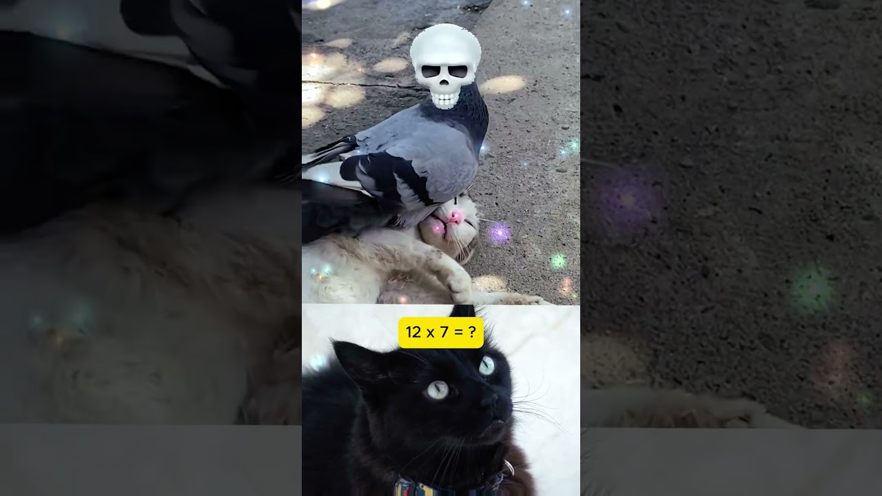 Govermant Agents on The Job