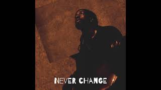 Never Change (ft. Young C)