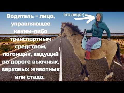 Доверенность. Приказ √615, Водитель и Пешеход. ДПС ГБДД