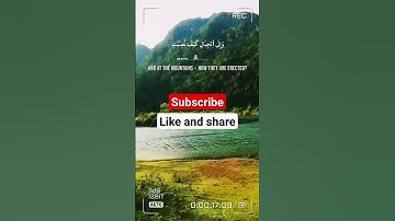 أفلا ينظرون إلى الإبل كيف خلقت || سورة الغاشية || Surah Al-Gãshiyah