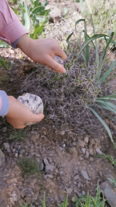 Unearthing the Mysteries of Fire Stones in Nature: Incredible Stones Igniting the World! ππ₯