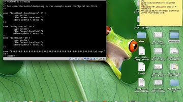 Install DNS and Configuaration!