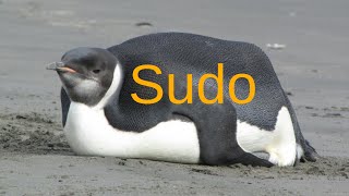Sudo is a Bloated Insecure Mess (install doas)
