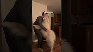 Dont Ever Let Some One Tell You Dogs Cant Show Emotion