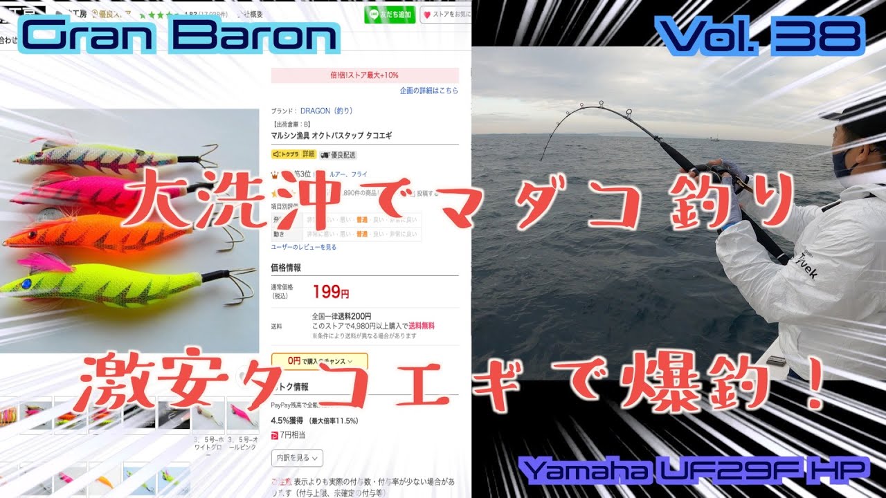 大洗沖・那珂湊沖で旬のマダコを釣る！ 激安タコエギで爆釣！ Yamaha