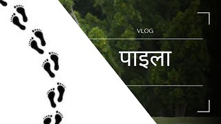 Paila - 2 