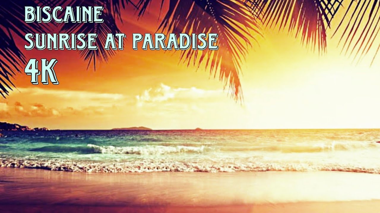 Biscaine ~ Sunrise At Paradise Beach [4К]