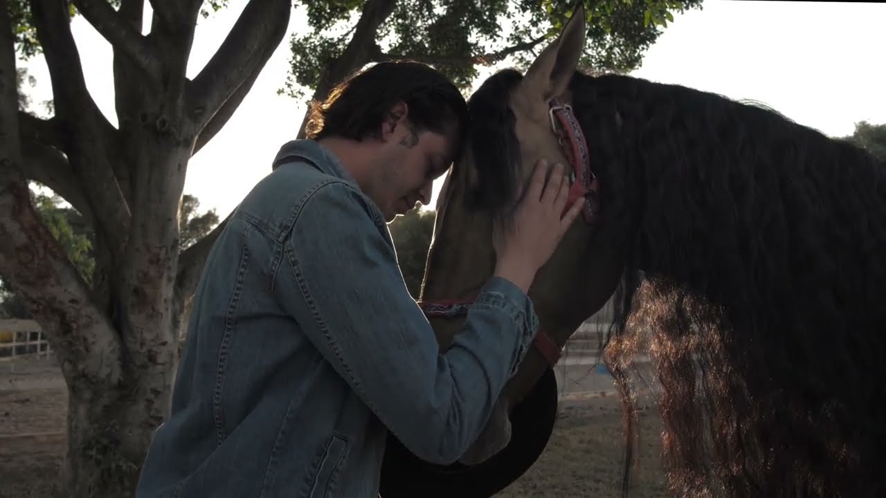 peace, harmony, and understanding