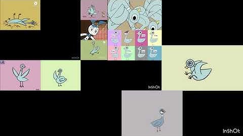 Up To Faster 19 Parison To Pigeon And Jenny