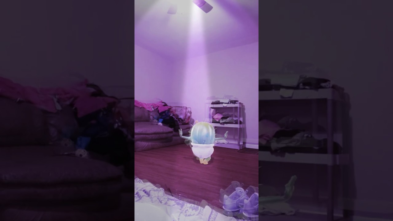 Dancing baby cactus. 