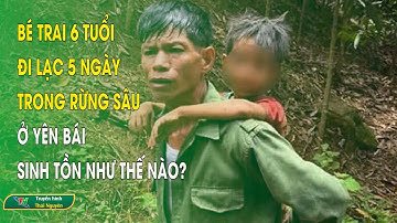Bé trai 6 tuổi đi lạc 5 ngày trong rừng sâu ở Yên Bái sinh tồn như thế nào? | Thái Nguyên TV