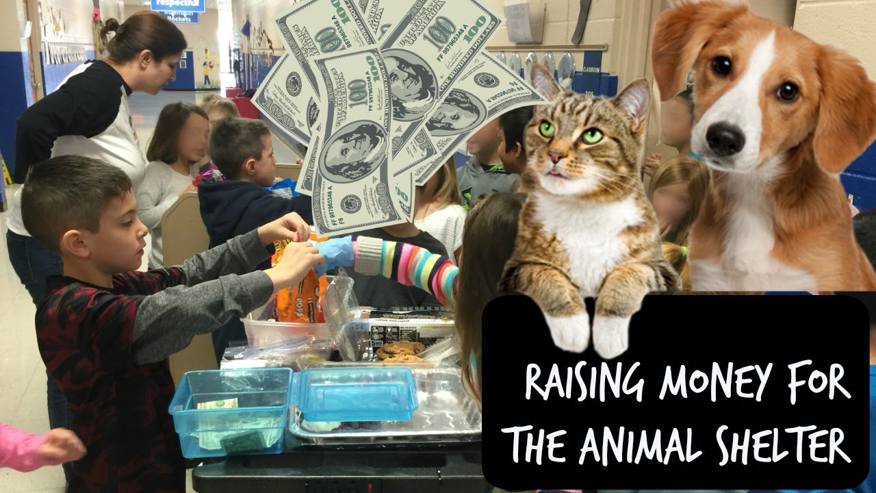 Donate animals. Charity for animals. Raise money for Charity. Charities for animals picture. Charity banner for animals.