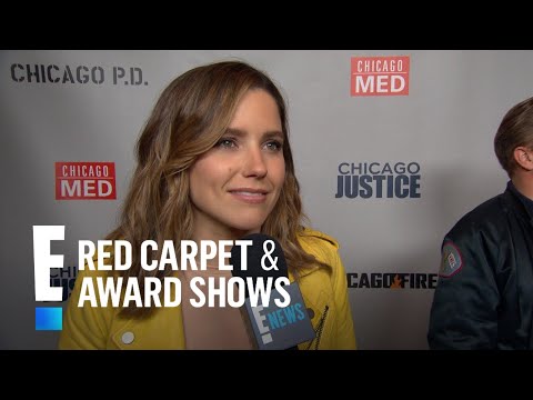 Video: Leej twg sophia bush yos?