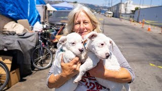 Homeless Woman in Oakland Loves Her Dogs
