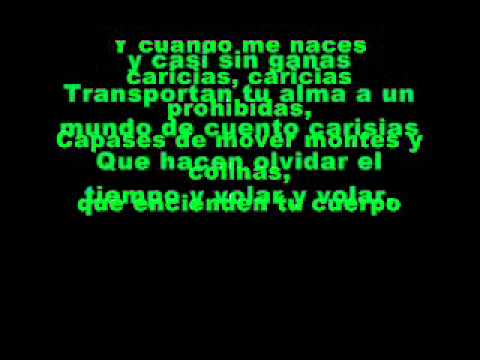 caricias prohibidas-karaoke - YouTube