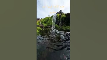القران الكريم الراحة النفسية #المصحف #إسلام_صبحي #راحة_نفسية #الرحمن