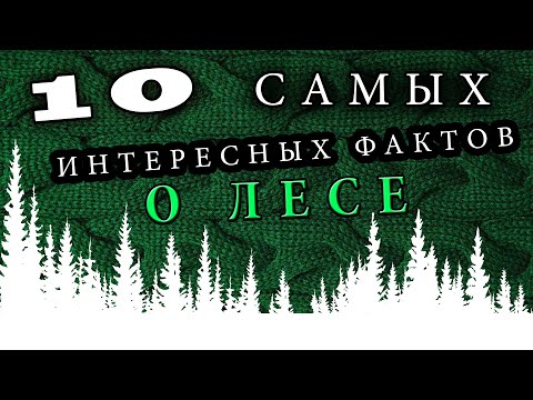 10 САМЫХ интересных фактов о лесе